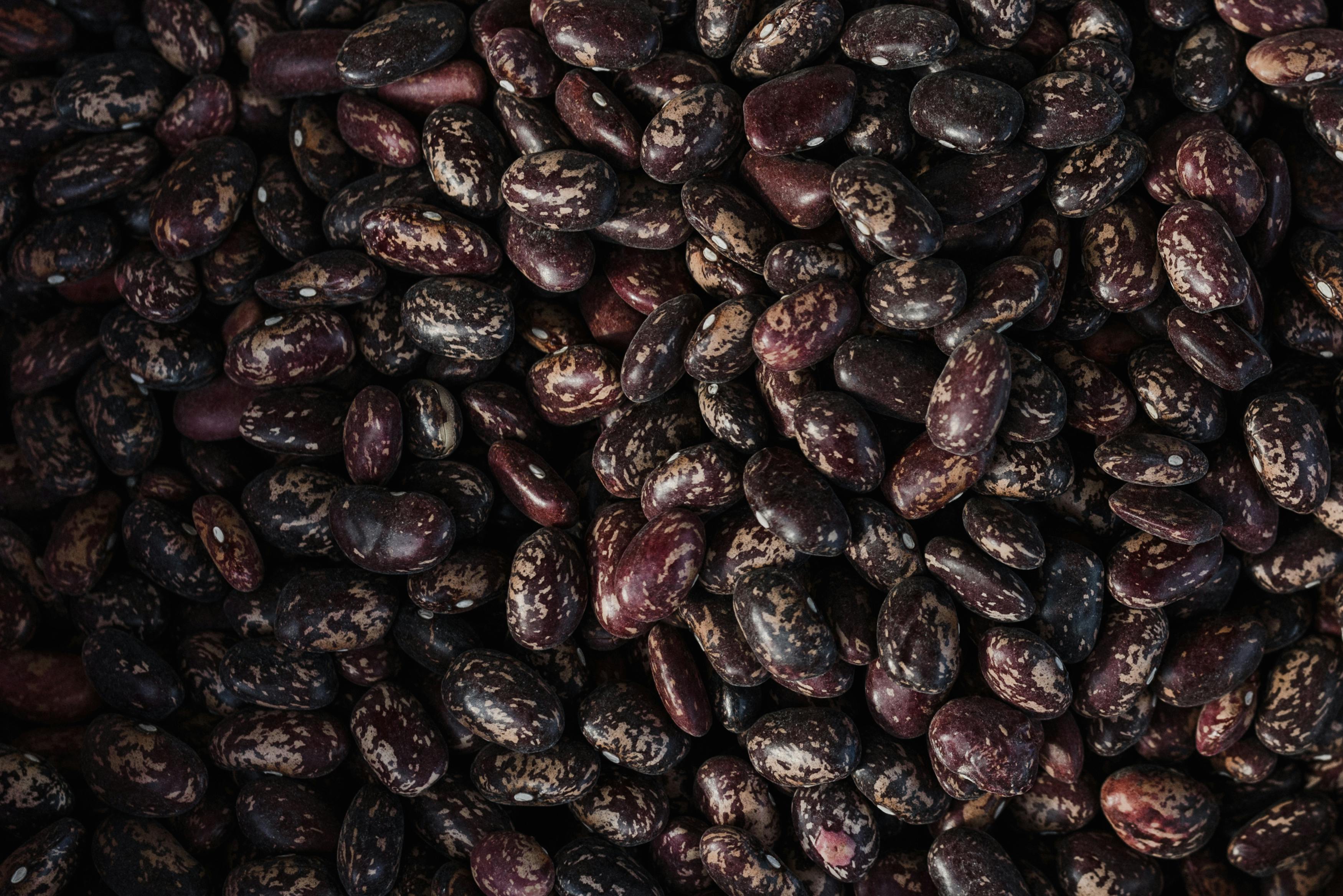 Beans
