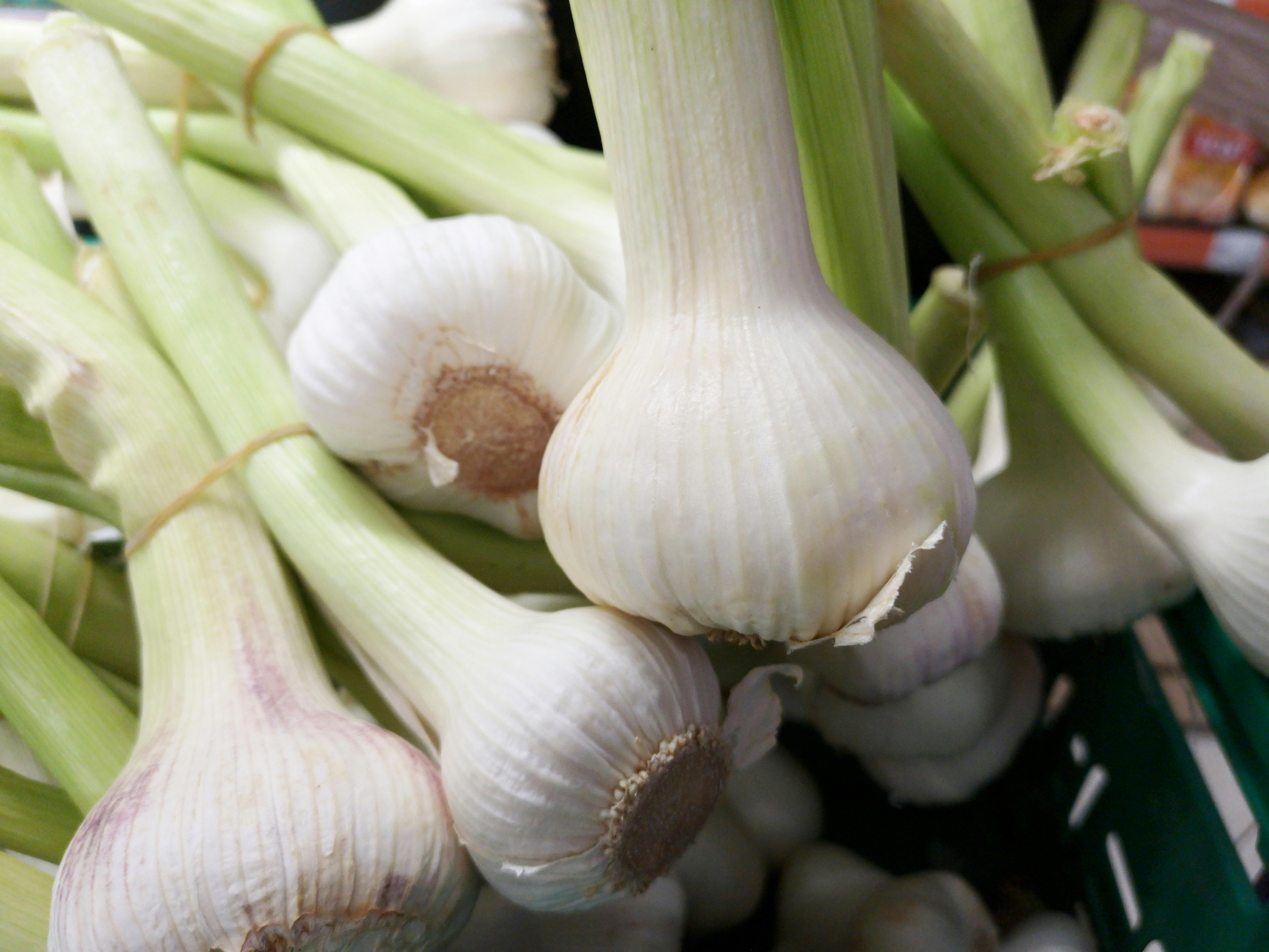 Onions