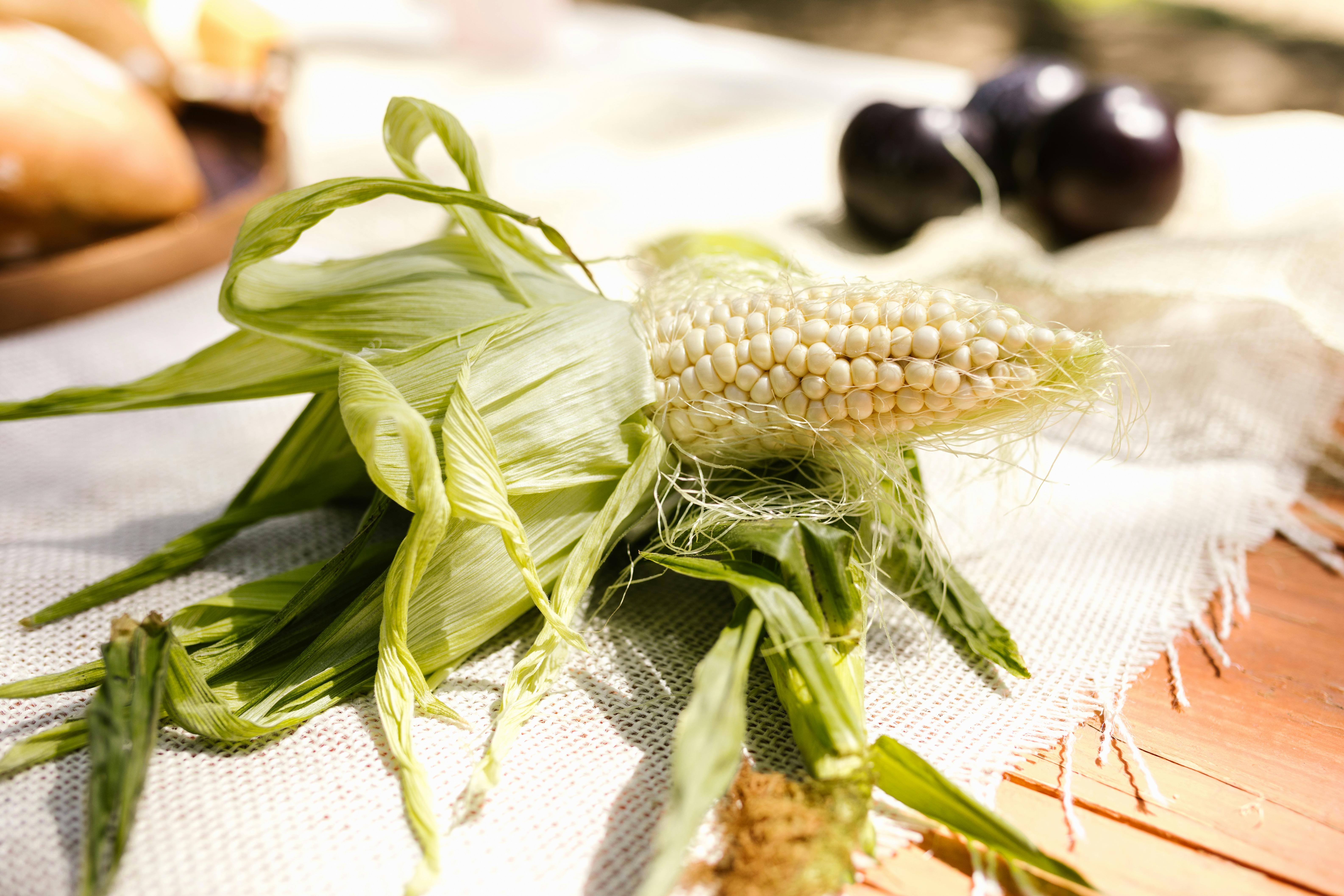 Maize